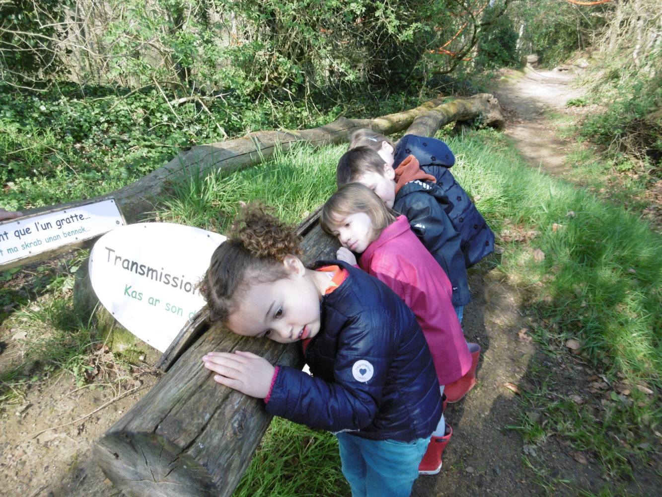 Le sentier musical de Cavan